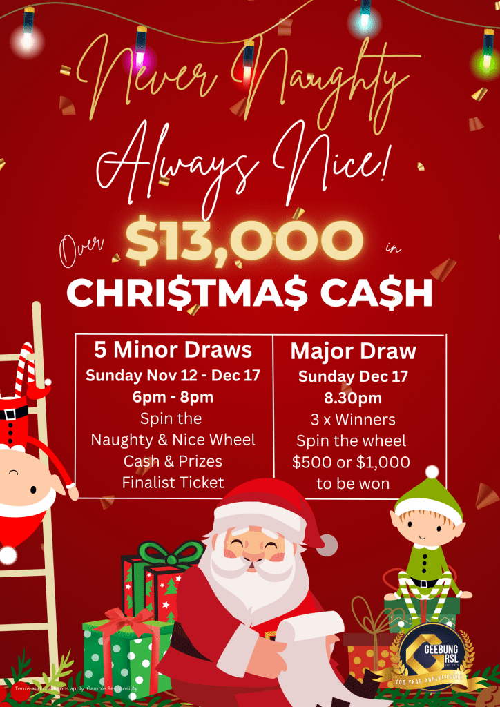 Never Naughty Always Nice (flyer (a4))